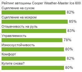 картинка шины Cooper Weather-Master Ice 600