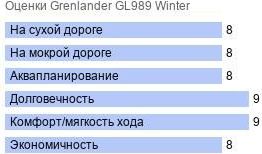 картинка шины Grenlander GL989 Winter