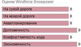 картинка шины Windforce Snowpower