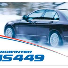 Falken Eurowinter HS449