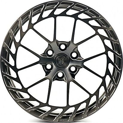 WS Forged WS6-100C