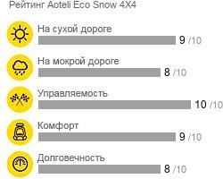 картинка шины Aoteli Eco Snow 4X4