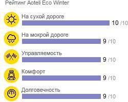 картинка шины Aoteli Eco Winter