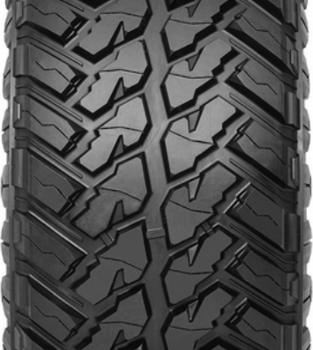 Arivo Lion Back N39 MT Протектор