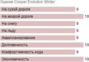 картинка шины Cooper Evolution Winter
