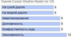 картинка шины Cooper Weather-Master Ice 100 