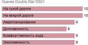 картинка шины Double Star DS01