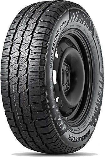 Double Star DW06 Winterking Общий вид