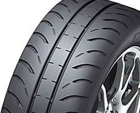 картинка шины Dunlop Direzza B03