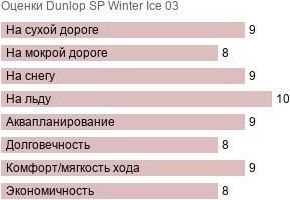 картинка шины Dunlop SP Winter Ice 03