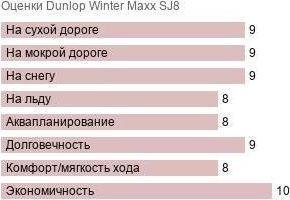 картинка шины Dunlop Winter Maxx SJ8