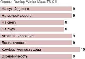 картинка шины Dunlop Winter Maxx TS-01L