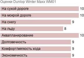 картинка шины Dunlop Winter Maxx WM01