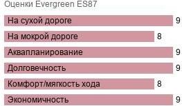 картинка шины Evergreen ES87