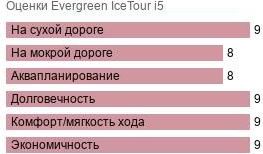 картинка шины Evergreen IceTour i5