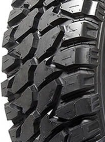 Fortune Maspire MT Протектор