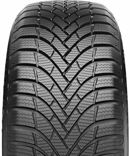 Fortune Nivalis Winter Pro Протектор