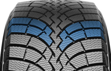 Fortune Polaro Snow Протектор