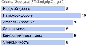 картинка шины Goodyear EfficientGrip Cargo 2