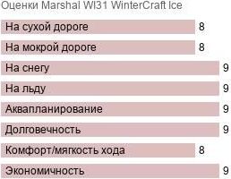 картинка шины Marshal WI31 WinterCraft Ice