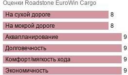 картинка шины Roadstone EuroWin Cargo