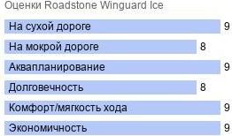 картинка шины Roadstone Winguard Ice