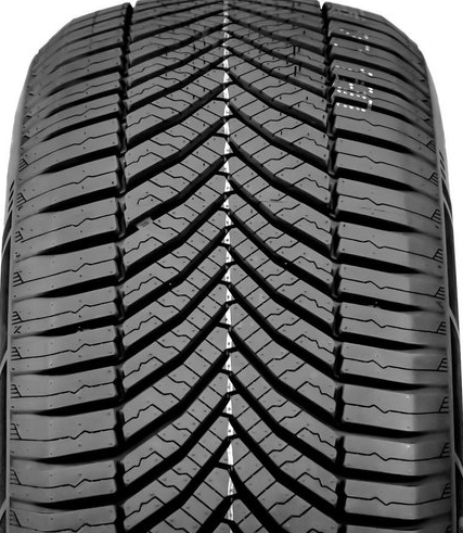 Royal Black Royal AS2 Протектор