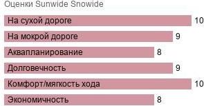 картинка шины Sunwide Snowide