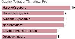 картинка шины Tourador TS1 Winter Pro