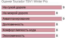 картинка шины Tourador TSV1 Winter Pro