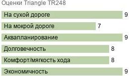 картинка шины Triangle TR248