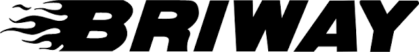 Логотип Briway