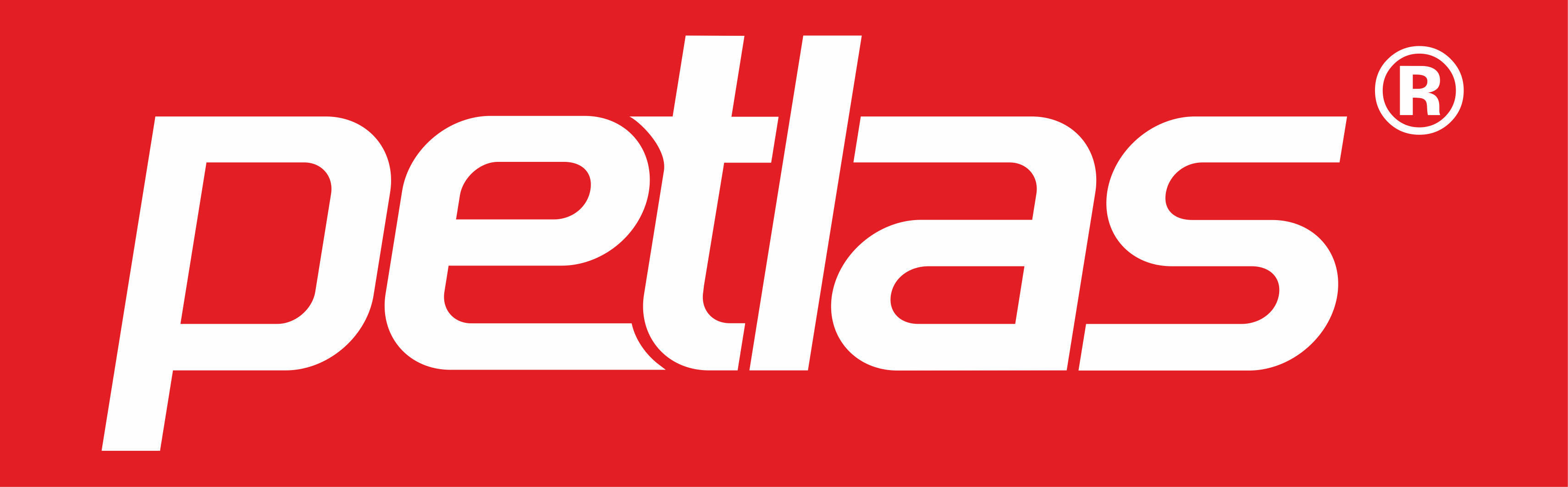 Логотип Petlas