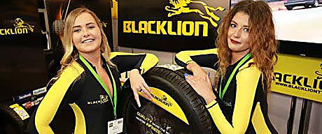 картинка шины Blacklion