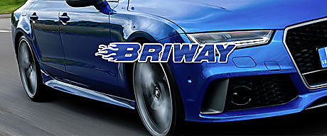 картинка шины Briway