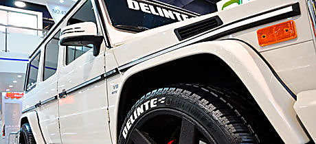картинка шины Delinte