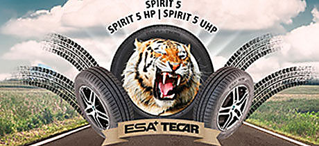 картинка шины Esa-Tecar