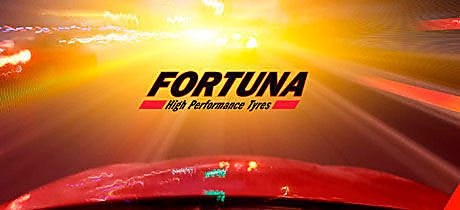 картинка шины Fortuna