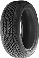 Funtoma Roadfun Winter