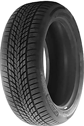 Funtoma Roadfun Winter